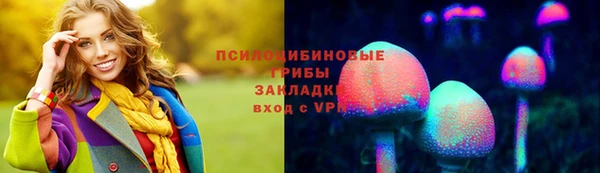 крисы Богданович