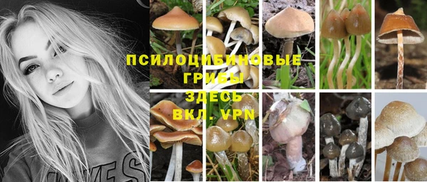 дживик Богородск