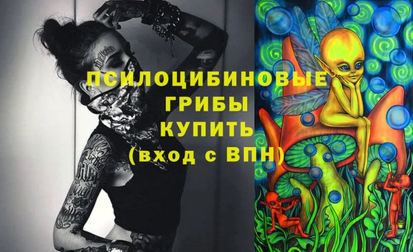 2c-b Арсеньев